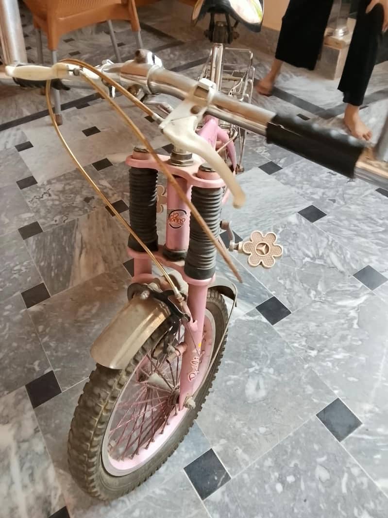 bicycle 2