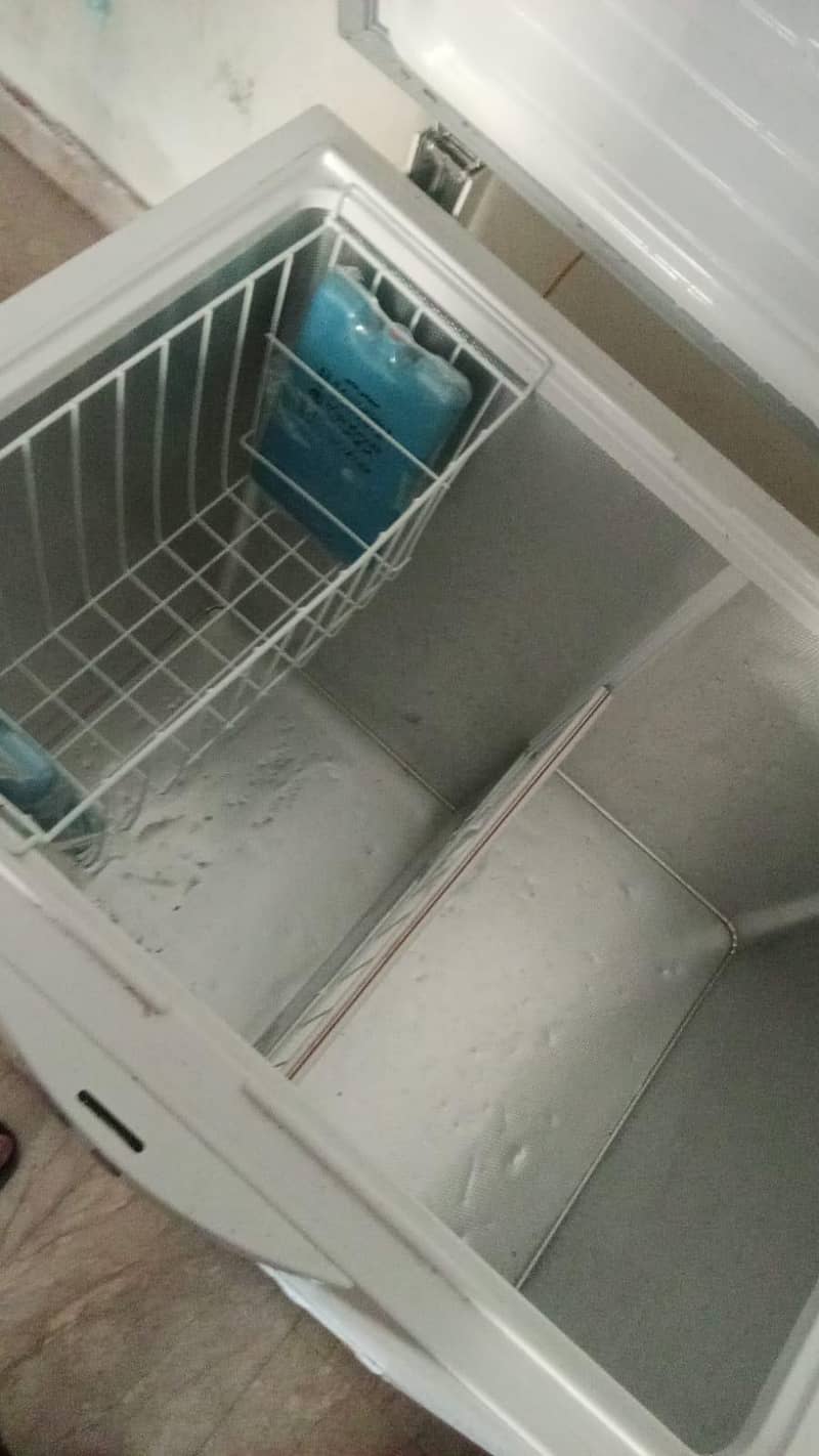 Freezer 4