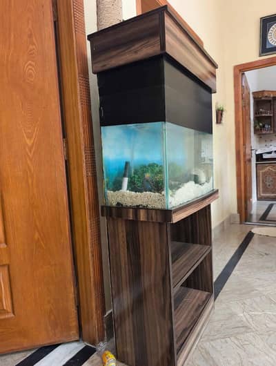 Fish Aquarium and accessories