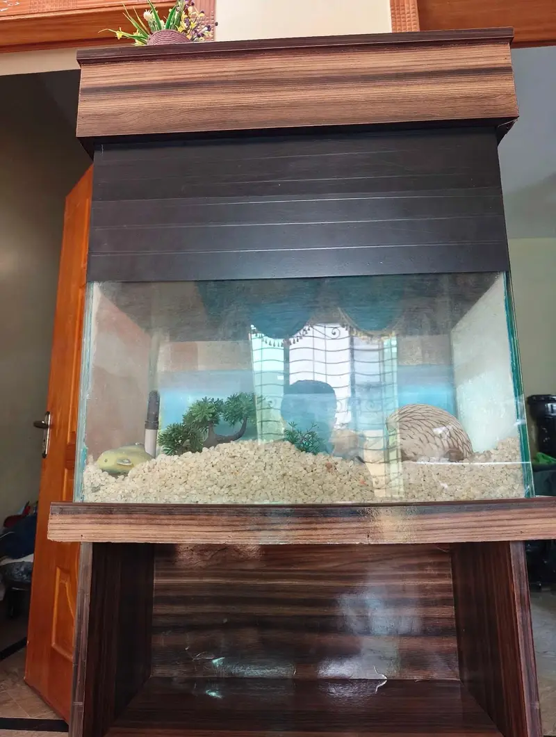 Fish Aquarium and accessories — photo 2
