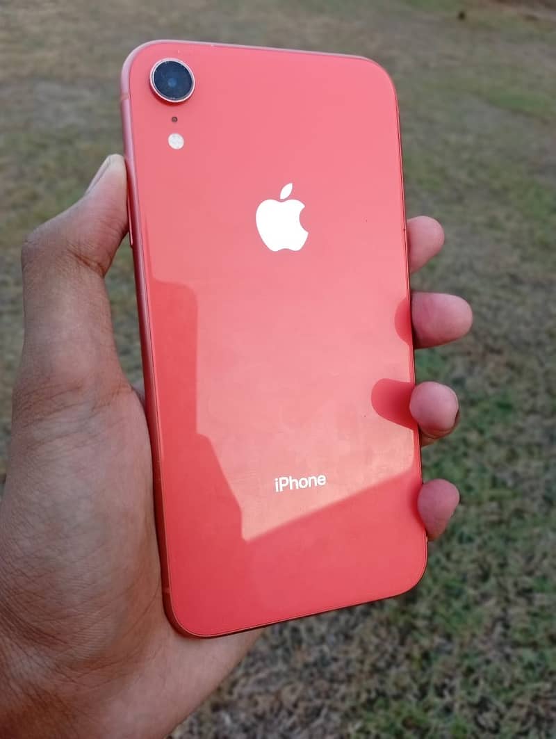 Apple iPhone XR 1