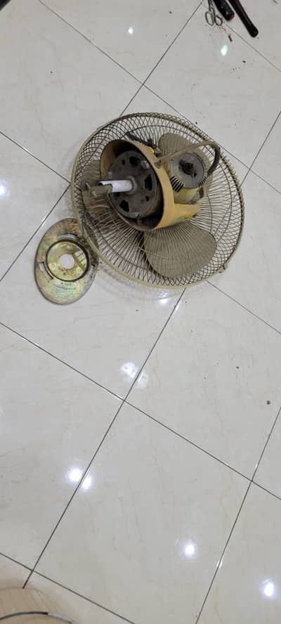 celling hanging fan