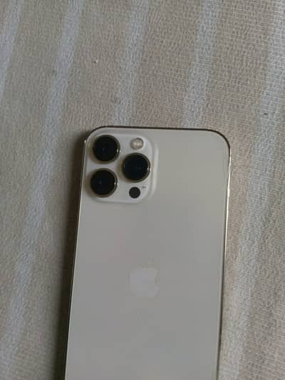 Apple iPhone 13 Pro Max