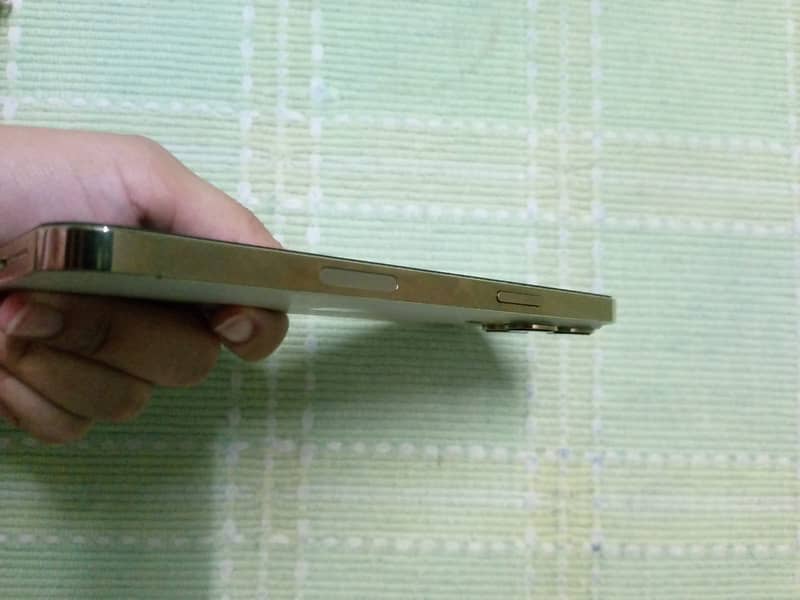 Apple iPhone 13 Pro Max 2