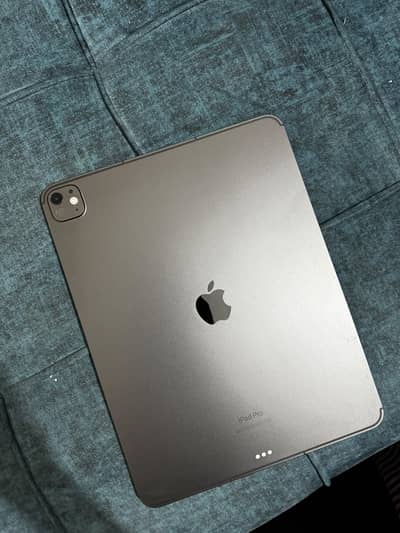 Apple Ipad Pro M4 13”