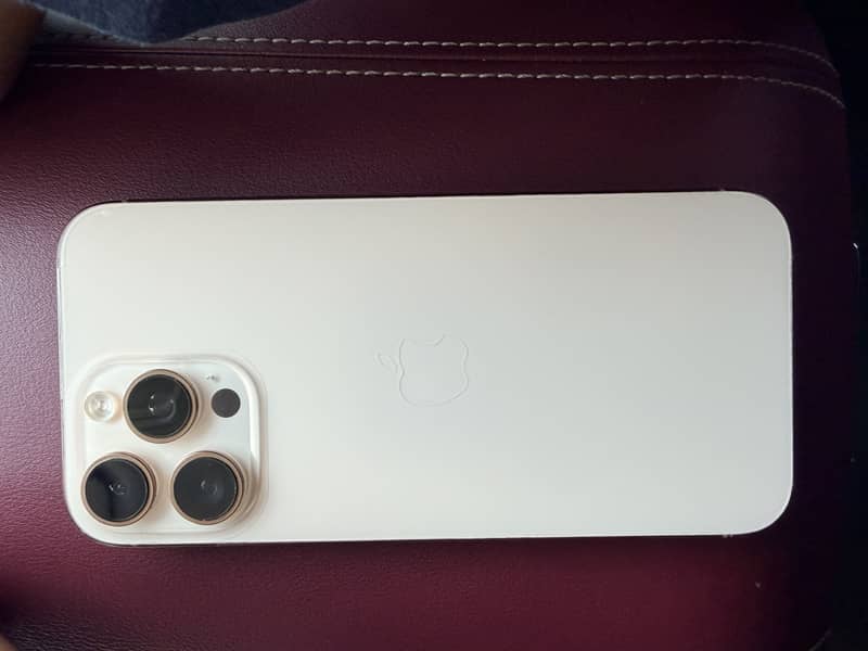 Apple iPhone 16 Pro Max 1