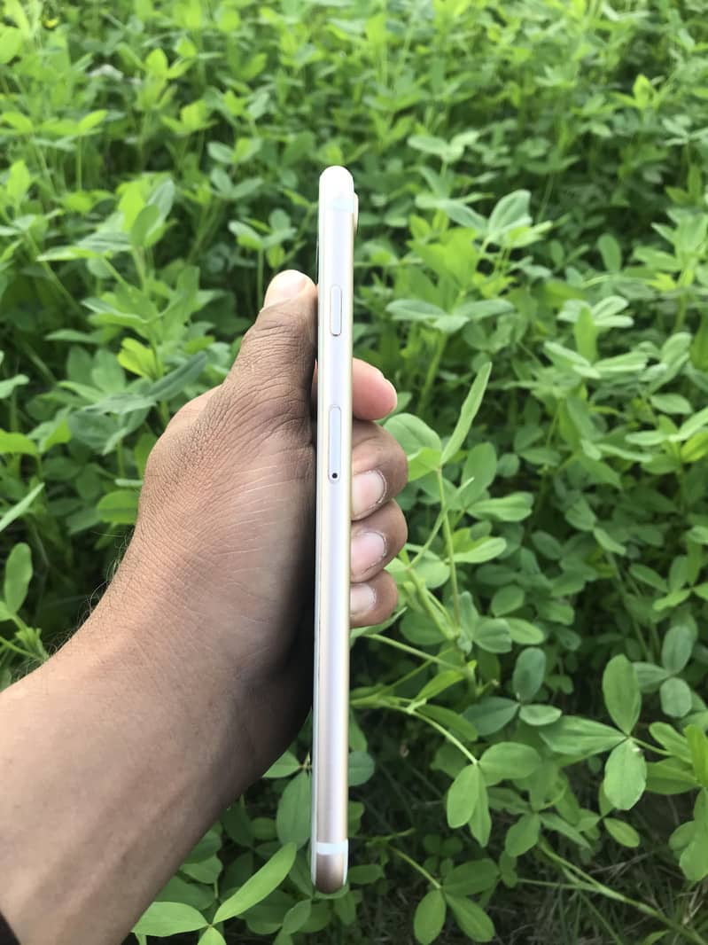 Apple iPhone 7 Plus 3