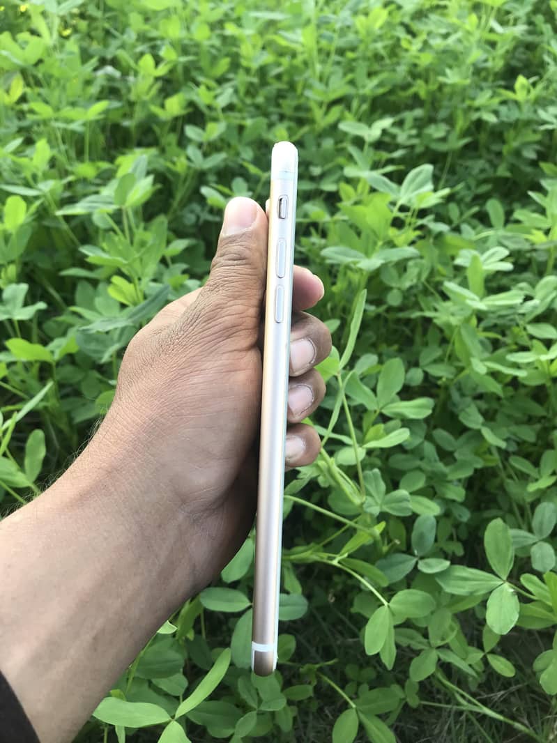 Apple iPhone 7 Plus 4