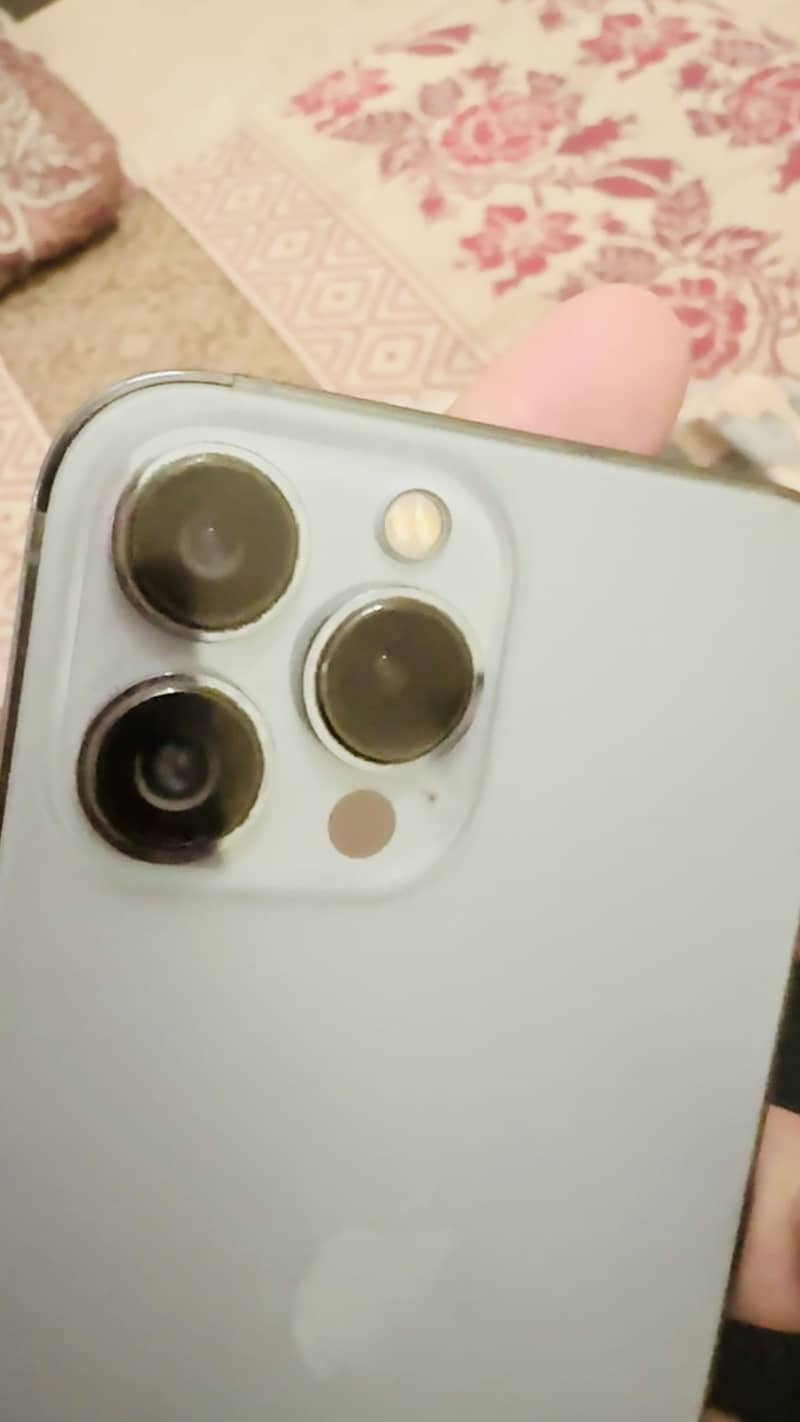 Apple iPhone 13 Pro Max 1