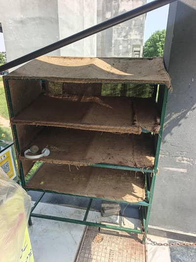 stand