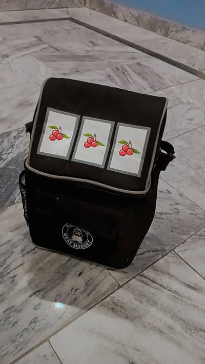 Excellent Condition Travel Bag