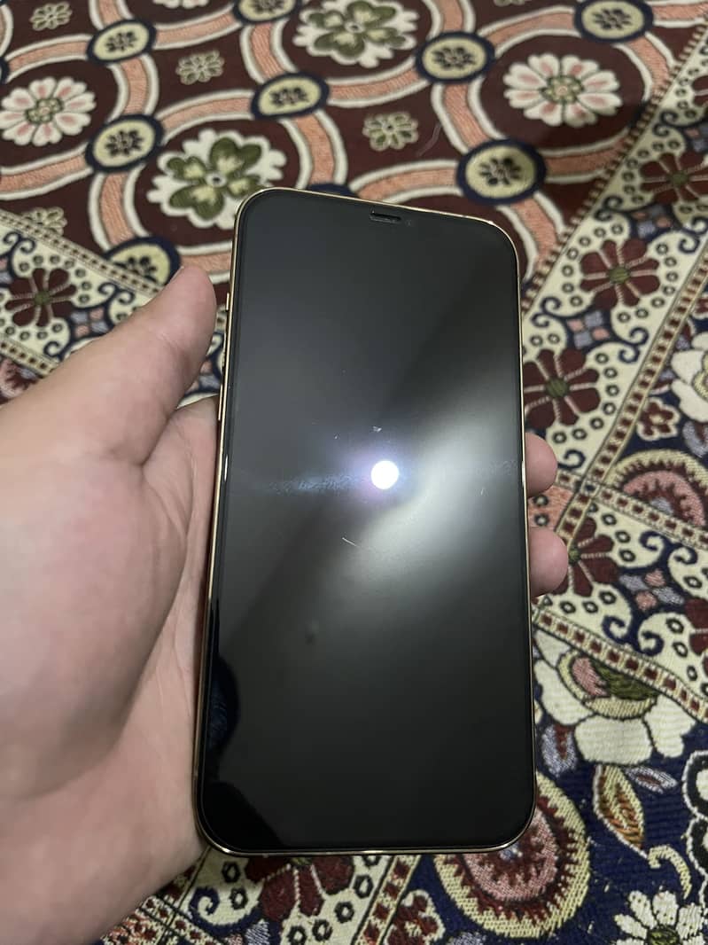 Apple iPhone 12 Pro Max 1