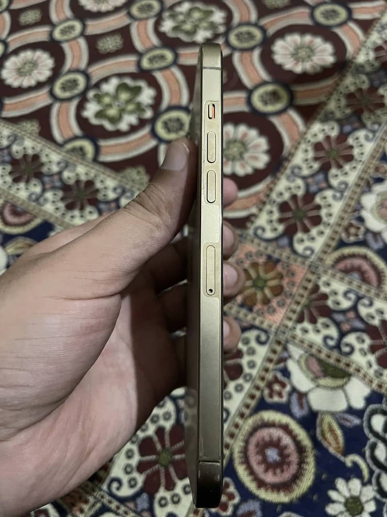 Apple iPhone 12 Pro Max 2