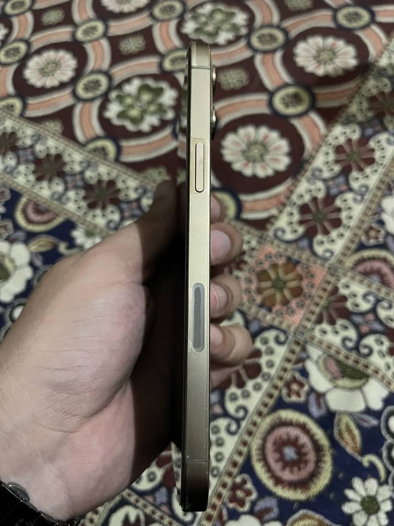 Apple iPhone 12 Pro Max 3