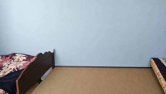 Single Bed Set (Pack of 2) – Excellent Condition | Abbottabad