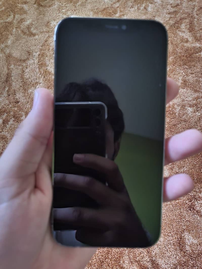 Apple iPhone 12 Pro 4