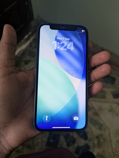 iPhone 12 mini
