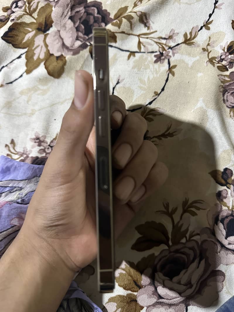 Apple iPhone 13 Pro 2