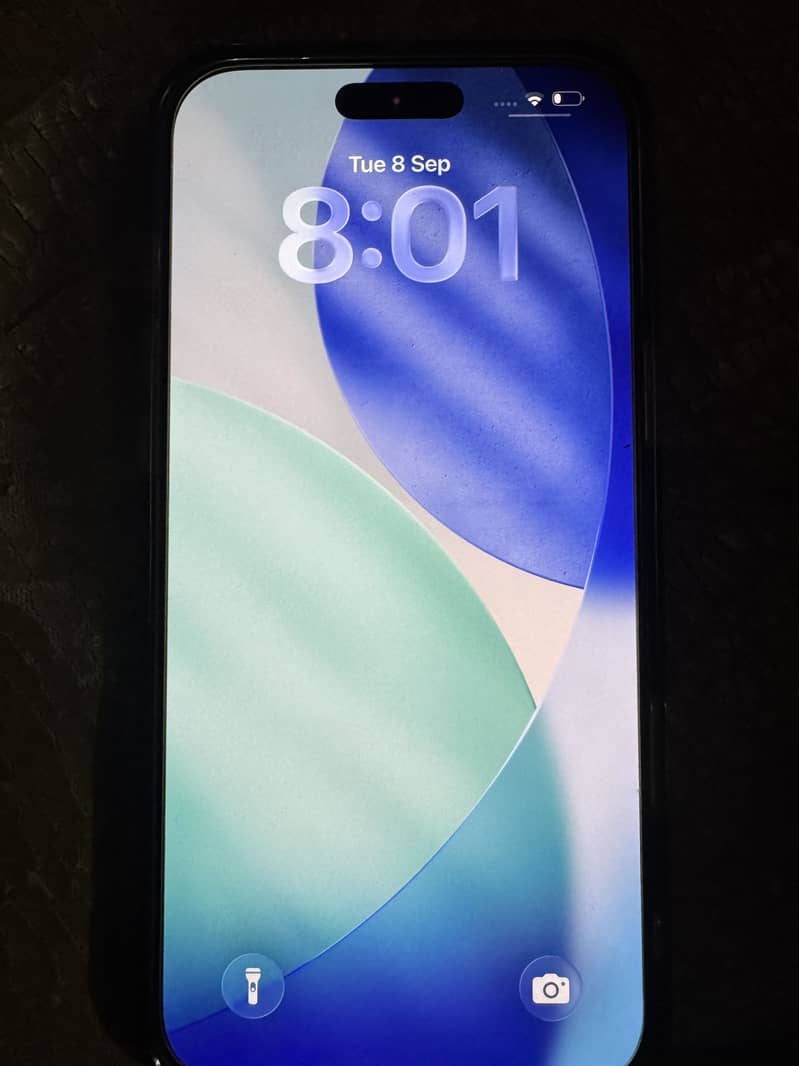 Apple iPhone 17 Pro Max (without box) 2