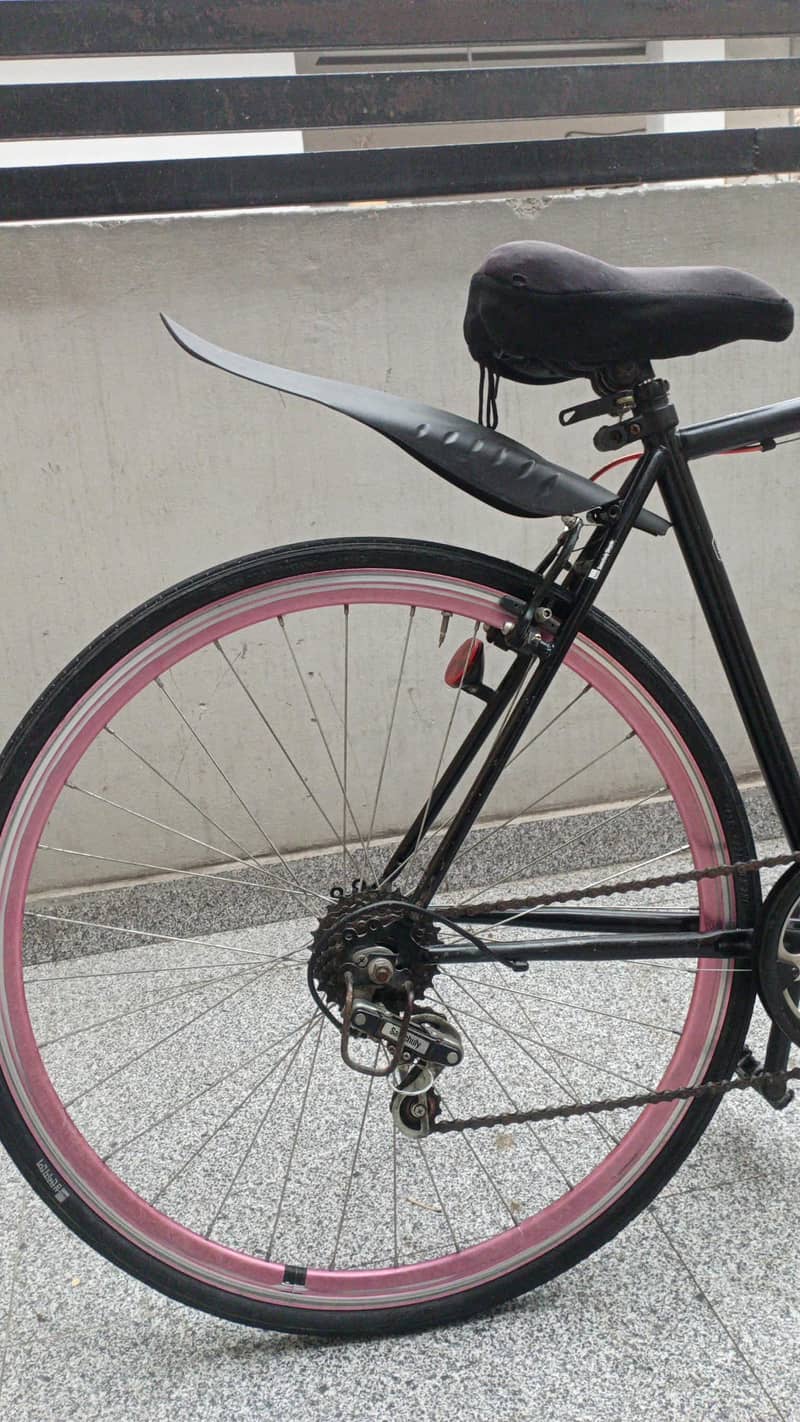 Racing Bicycle 1