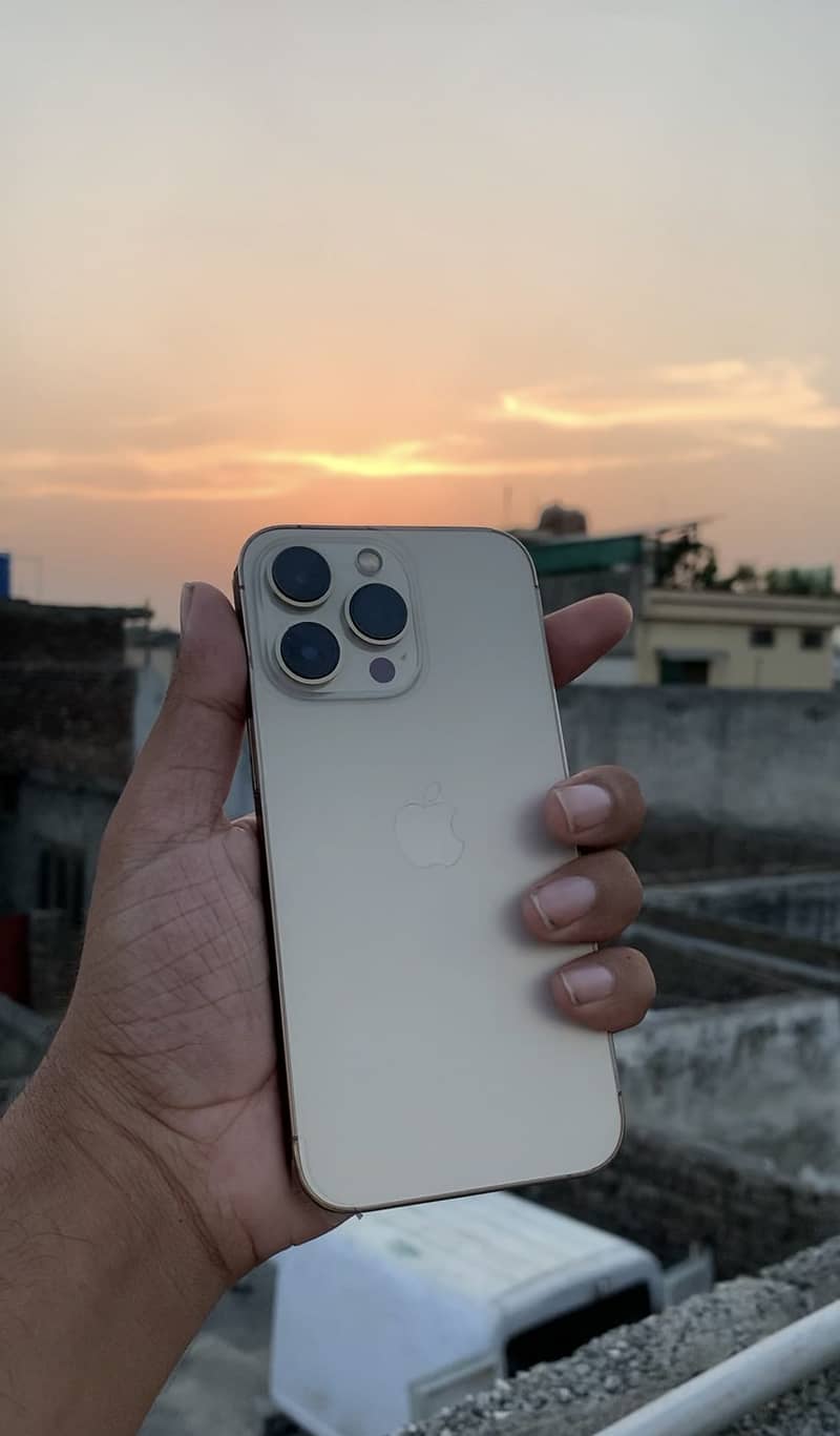 Apple iPhone 13 Pro 0