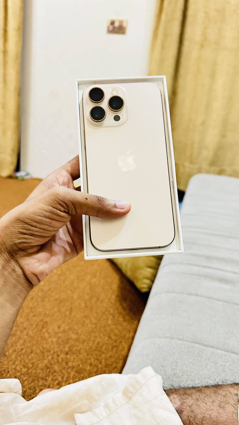 Apple iPhone 16 Pro Max 1