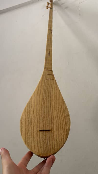 Chitrali Sitar