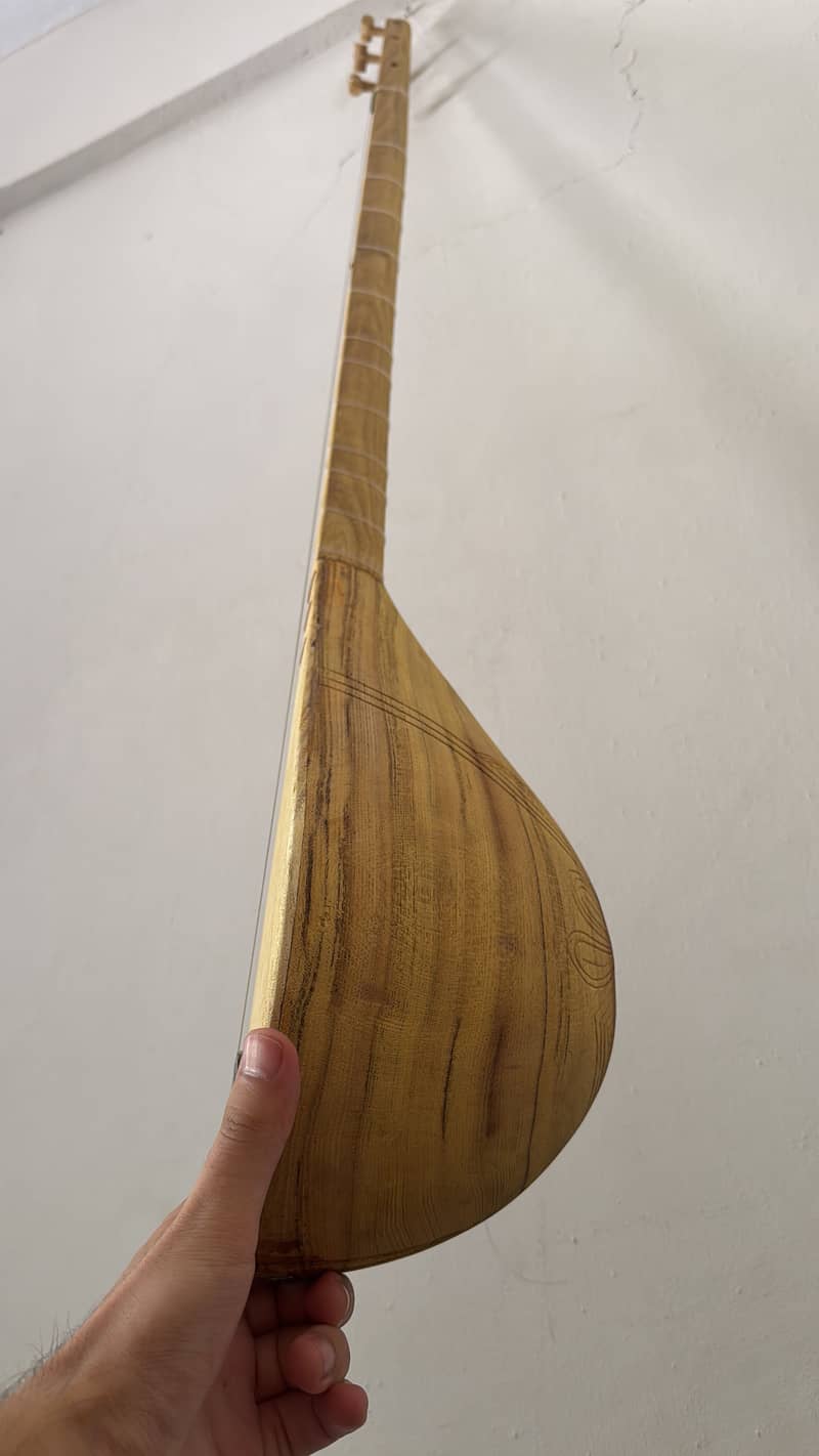 Chitrali Sitar 1