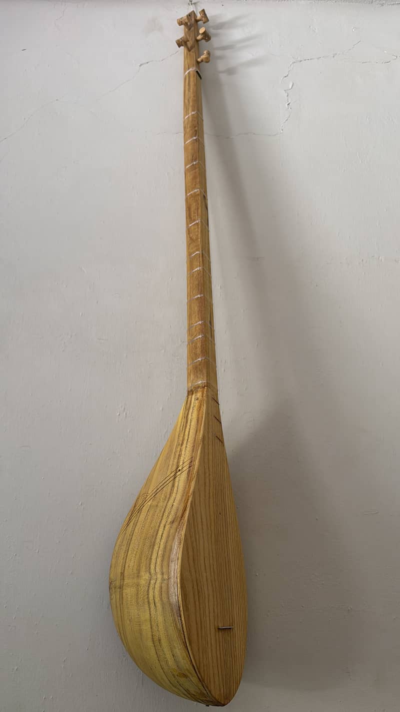 Chitrali Sitar 2
