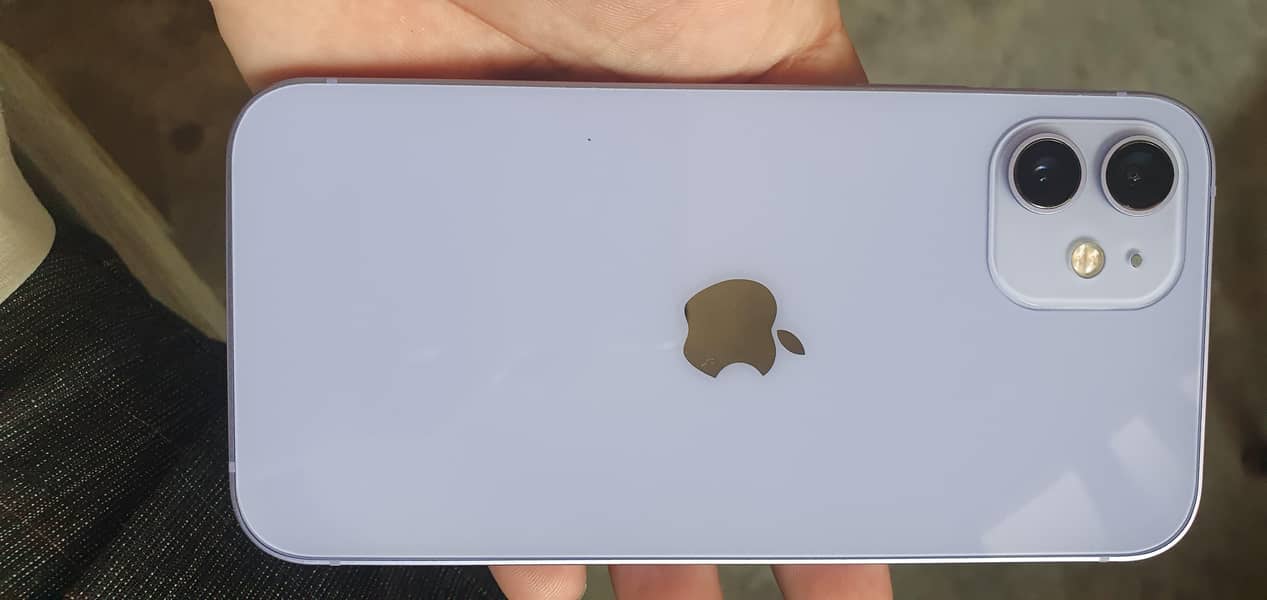 Apple iPhone 12 1