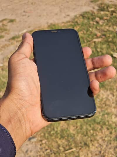 Apple iPhone 12