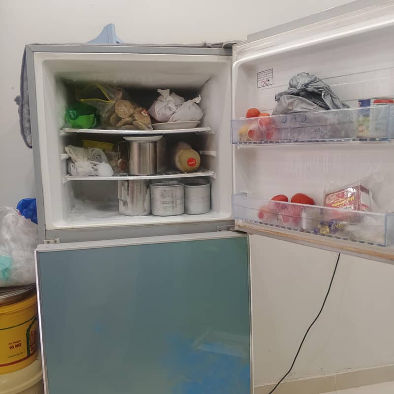 Fridge 3