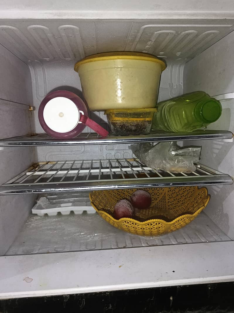 Orient Fridge 4