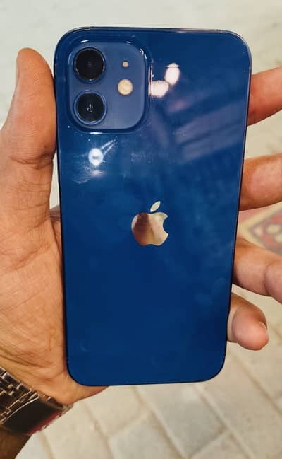 Apple iPhone 12