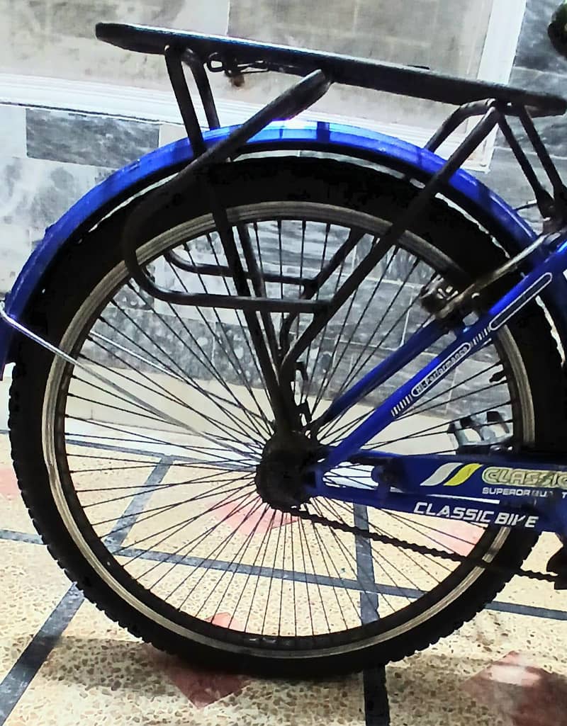fonix cycle 1
