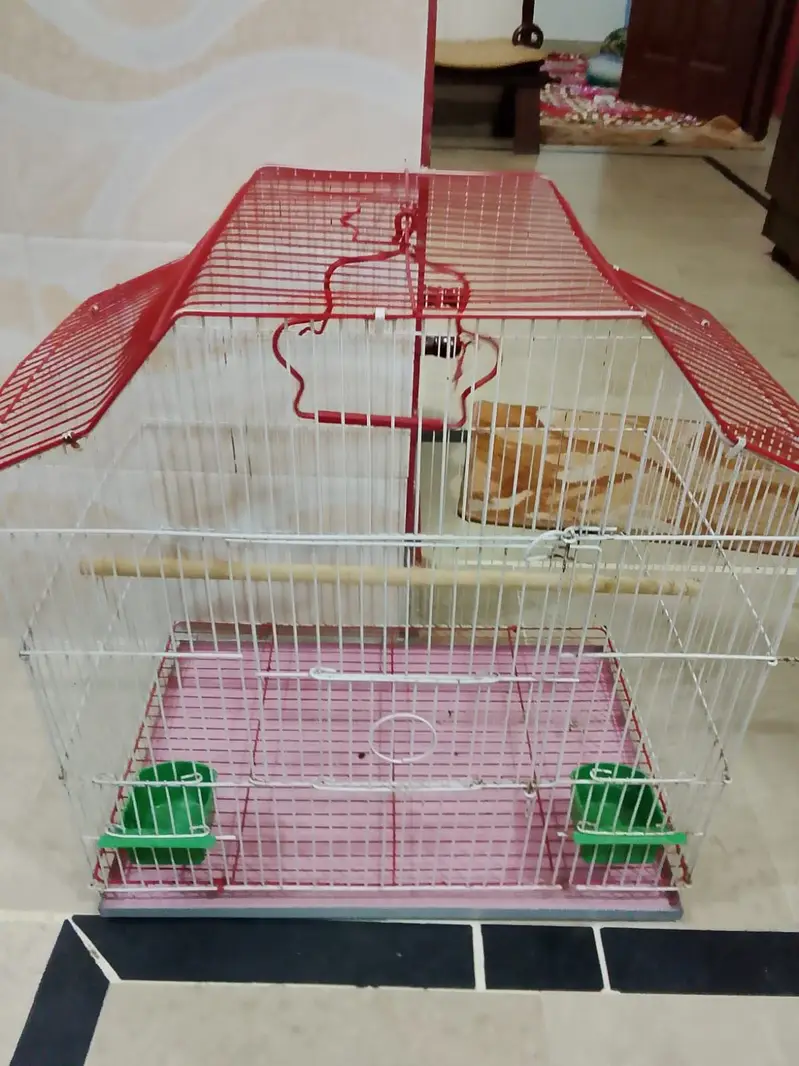 Parrot Cage