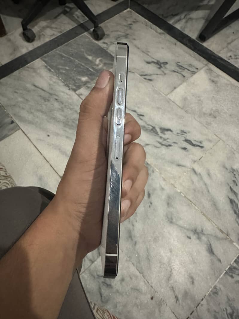 Apple iPhone 13 Pro Max 1