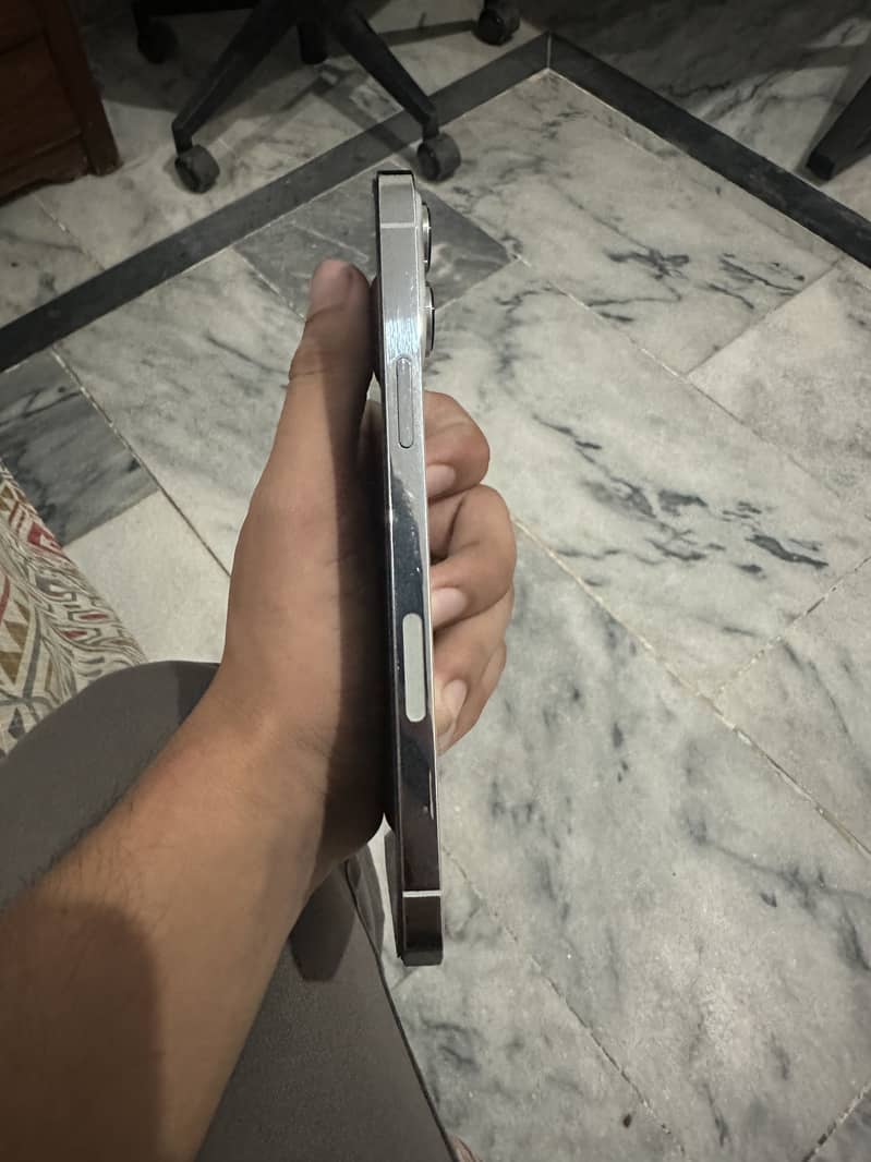 Apple iPhone 13 Pro Max 2