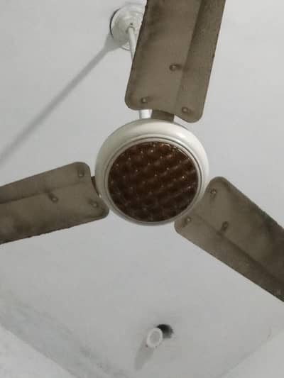 ceiling fan