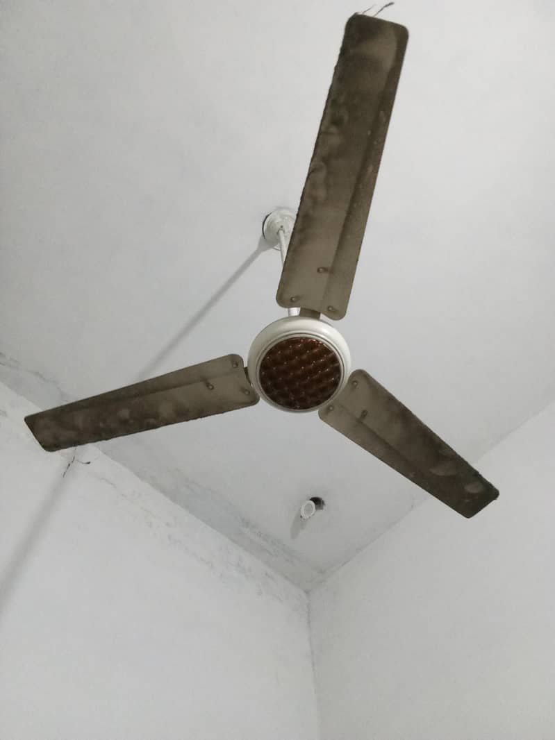 ceiling fan 1