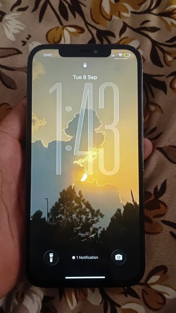 Apple iPhone 12 Pro Max 3