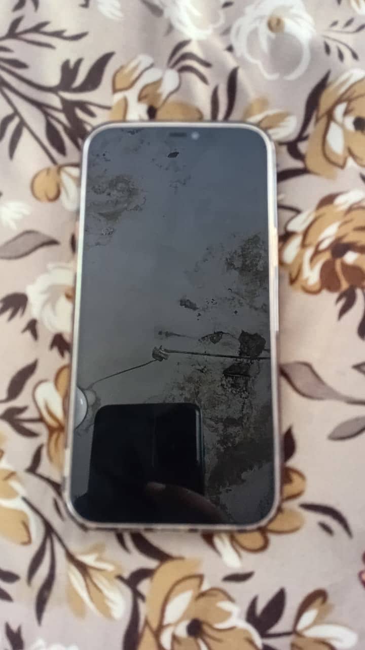 Apple iPhone 12 Pro Max 2