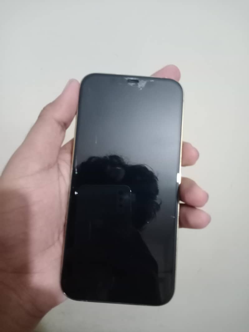 iPhone 12 Pro Max 3