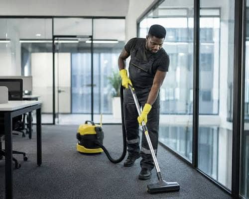 Cleaner/ sweeper 0