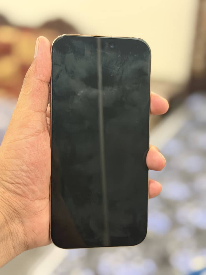 Apple iPhone 16 Pro Max 1
