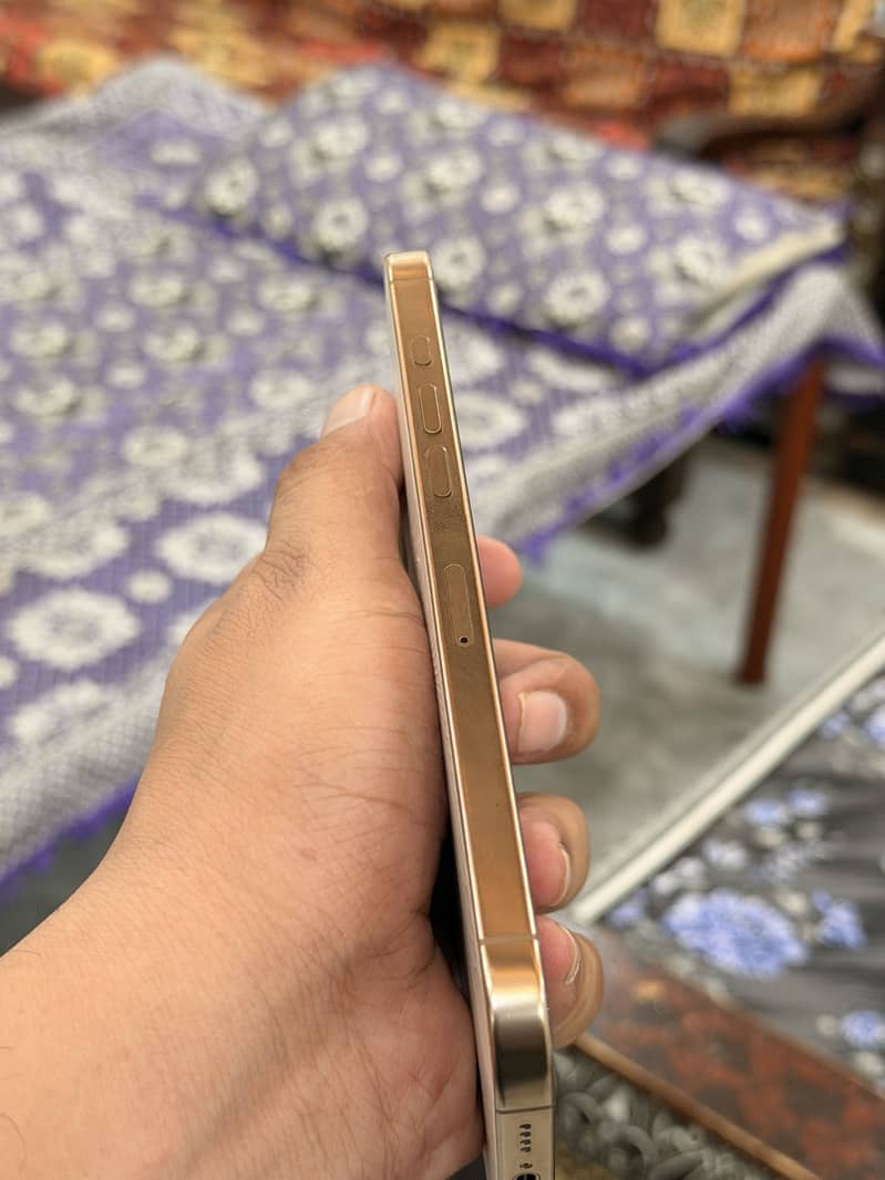 Apple iPhone 16 Pro Max 3
