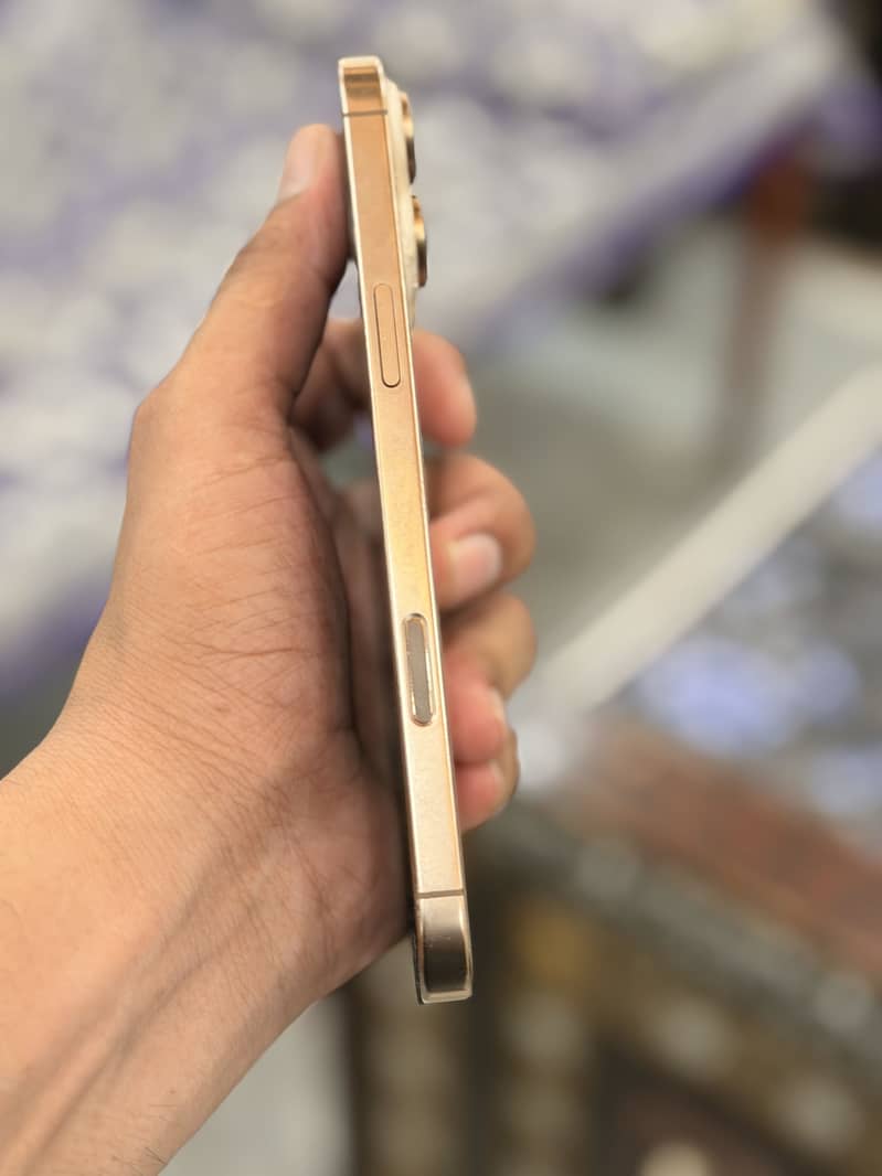 Apple iPhone 16 Pro Max 4