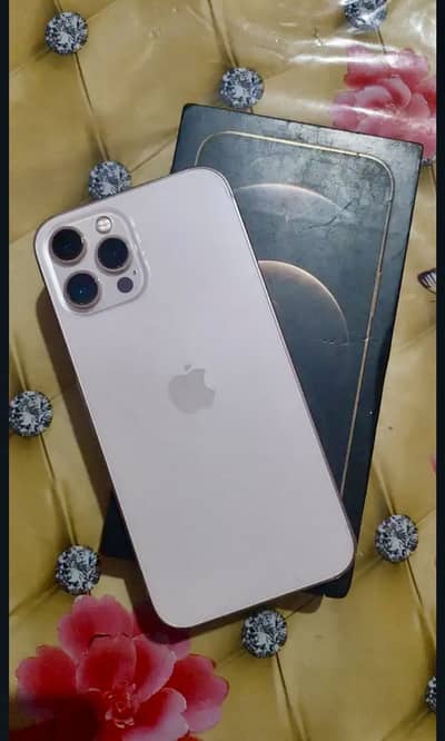Apple iPhone 12 Pro Max