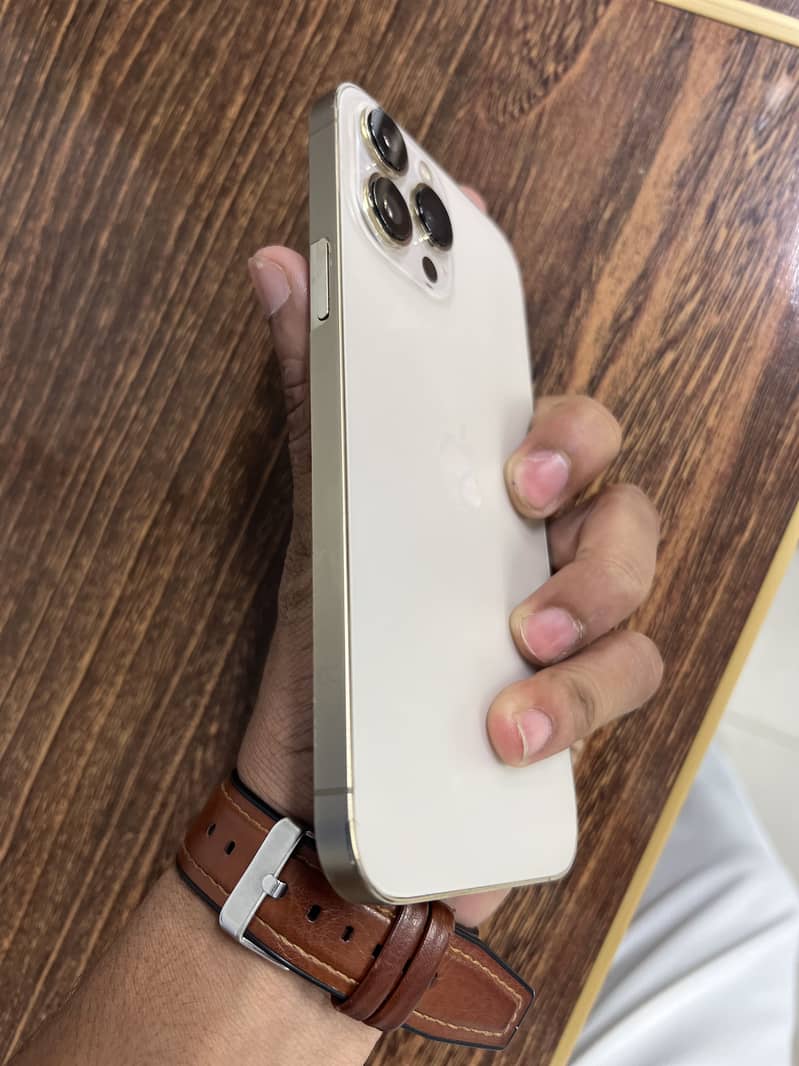 Apple iPhone 13 Pro Max 1