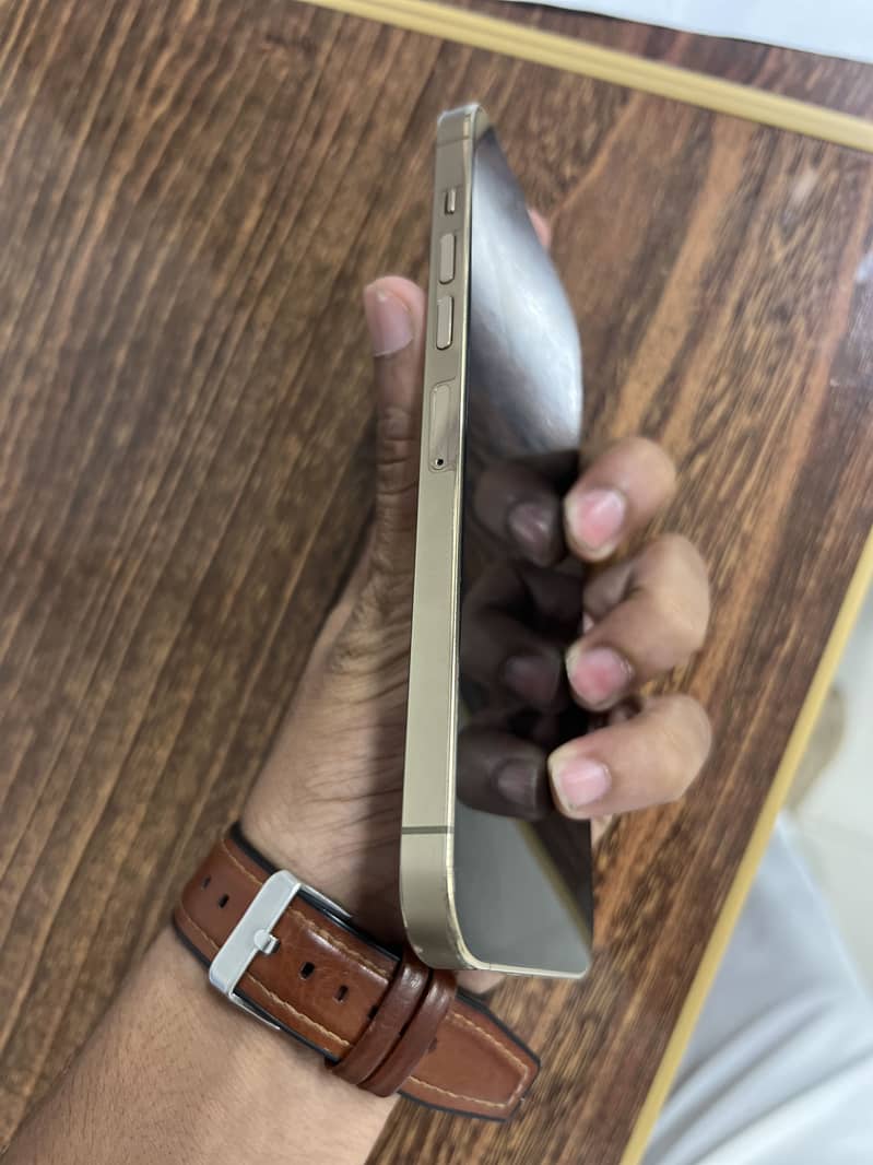 Apple iPhone 13 Pro Max 4
